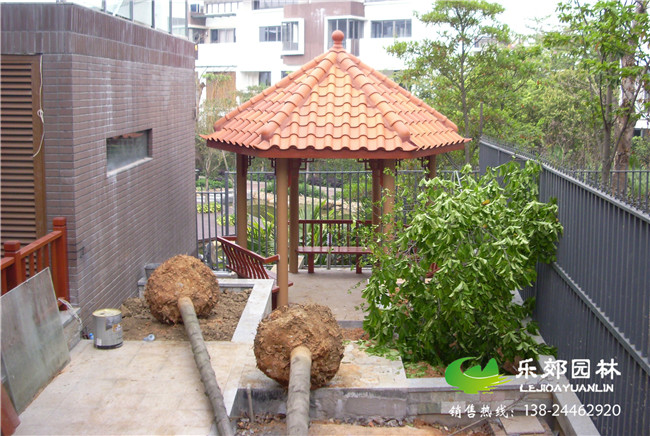 广州番禺区下沉式庭院装修案例图片