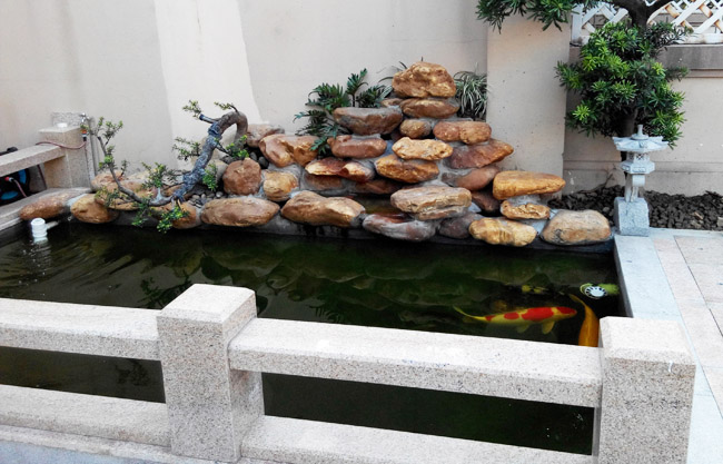 庭院大型锦鲤鱼池建造完成效果图片