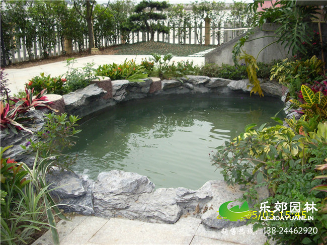 别墅庭院鱼池旁边种植植物的图片