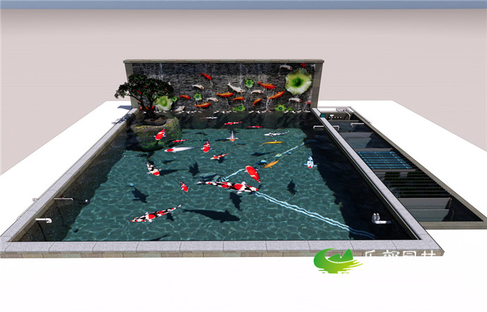 锦鲤鱼池过滤池系统设计样式2