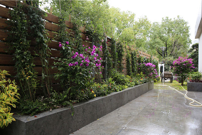 广州别墅庭院景观设计和绿化种植图片2