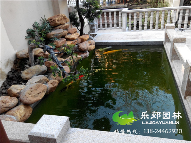 广州番禺区华南碧桂园庭院鱼池设计实景图4